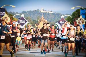 BIB: 3893, 4267, 1445, 50182, 49075
                            <button type="button" onclick="openModal(22678434)" class="btn btn-primary btn-sm float-right btn-popup" data-toggle="modal" data-target=".modal-high-quality">
                        <i class="fas fa-shopping-cart"></i> Add to Cart
                    </button>
                                            <button type="button" onclick="isThisMe(22678434, true)" class="btn btn-success btn-sm float-right btn-popup btn-isme hidden" data-toggle="tooltip" data-placement="bottom" title="นี่คือรูปของคุณใช่ไหม คลิกที่นี่เพื่อเอาเข้าอัลบั้ม">
                        <i class="fas fa-plus"></i> Add to album
                    </button>
                    <button type="button" onclick="isThisMe(22678434, false)" class="btn btn-warning btn-sm float-right btn-popup btn-isnotme hidden">
                        <i class="fas fa-ban"></i> Remove from album
                    </button>